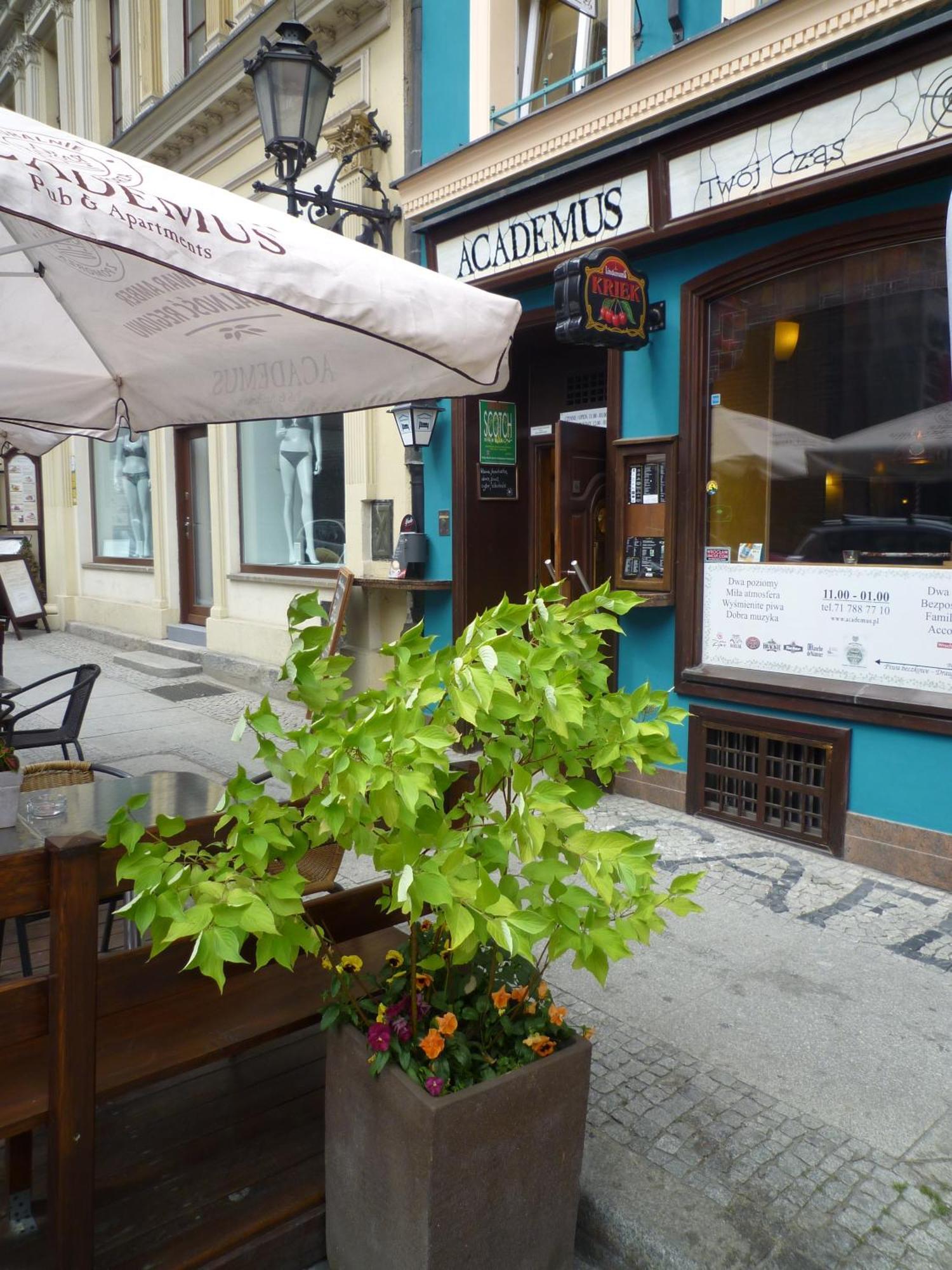 ורוצלב Academus Pub & Guest House מראה חיצוני תמונה